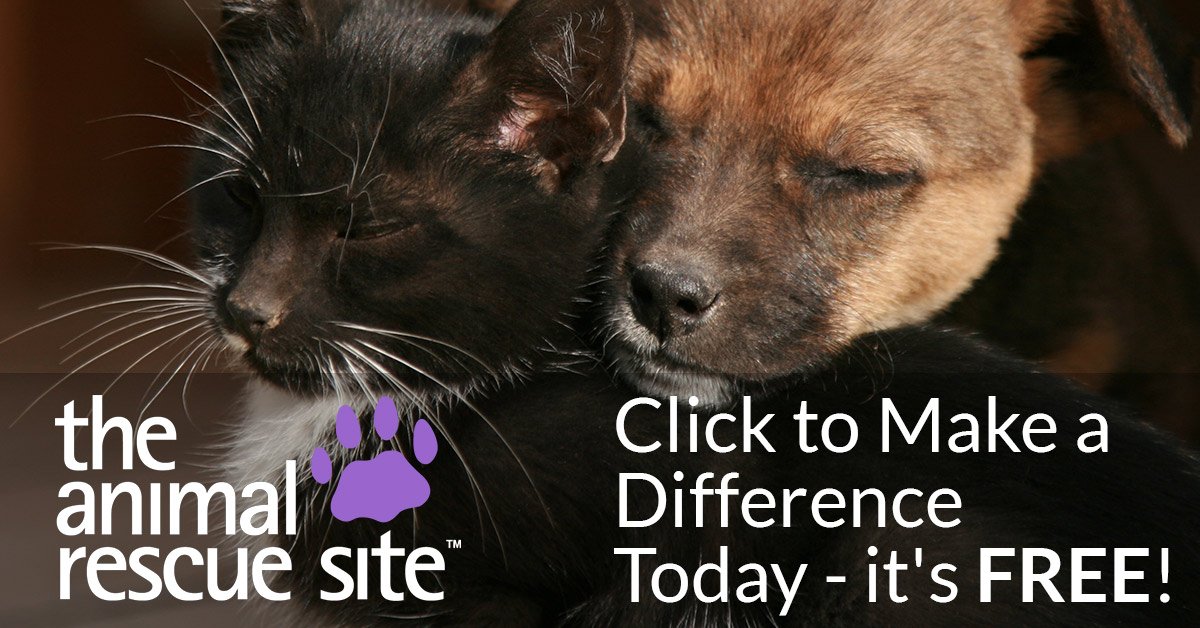 Click to make a difference now