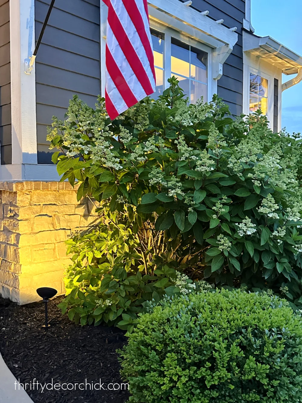 placing landscape lights around bushes