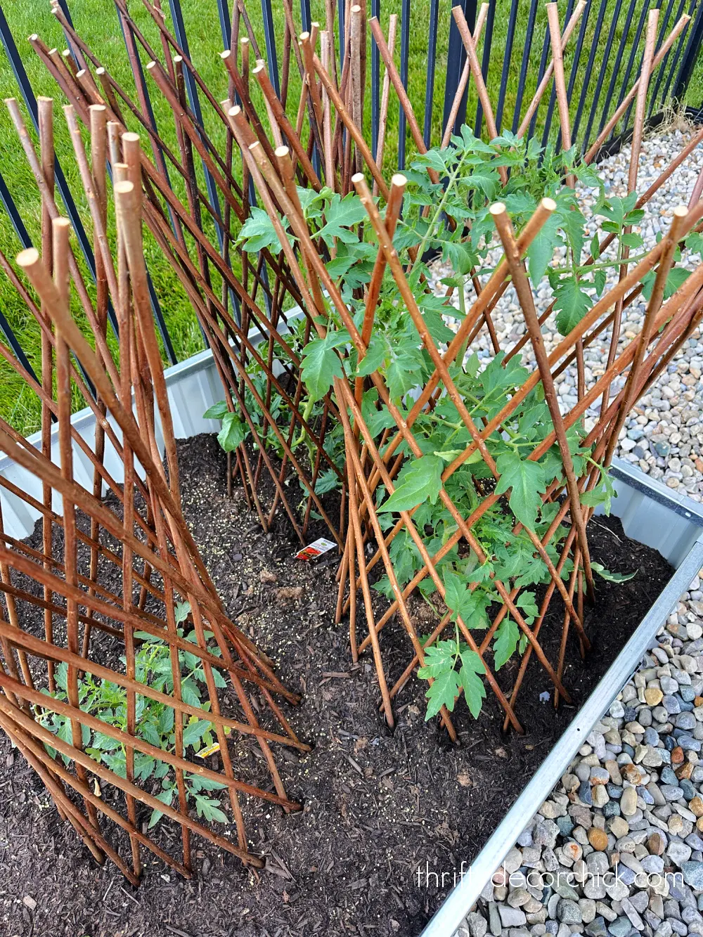 expandable willow tomato cages