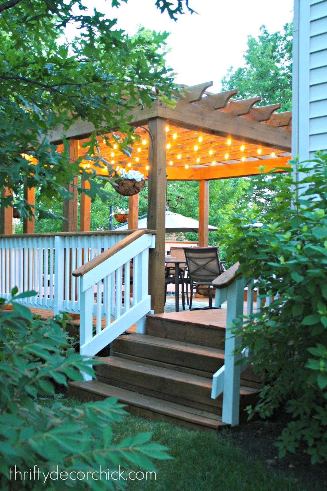 cafe lights under pergola