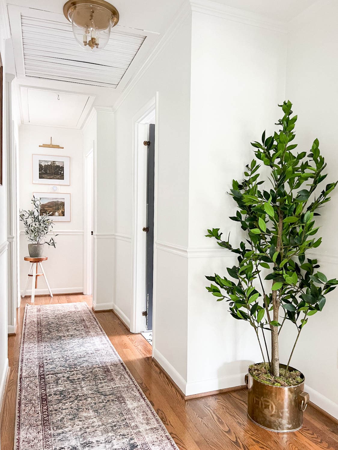 hallway decor with runner rug and plants