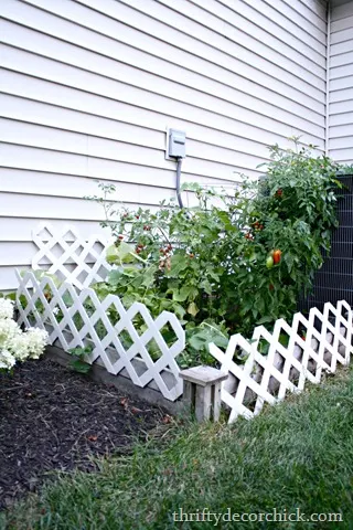 4x4 cedar raised garden