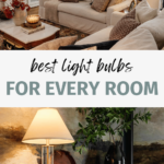 best light bulbs for every room