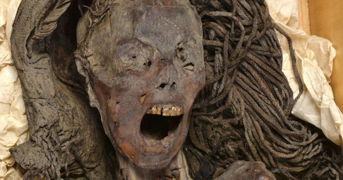 Ancient mummy with shrieking expression may have "died screaming from agony," Egyptian researchers say