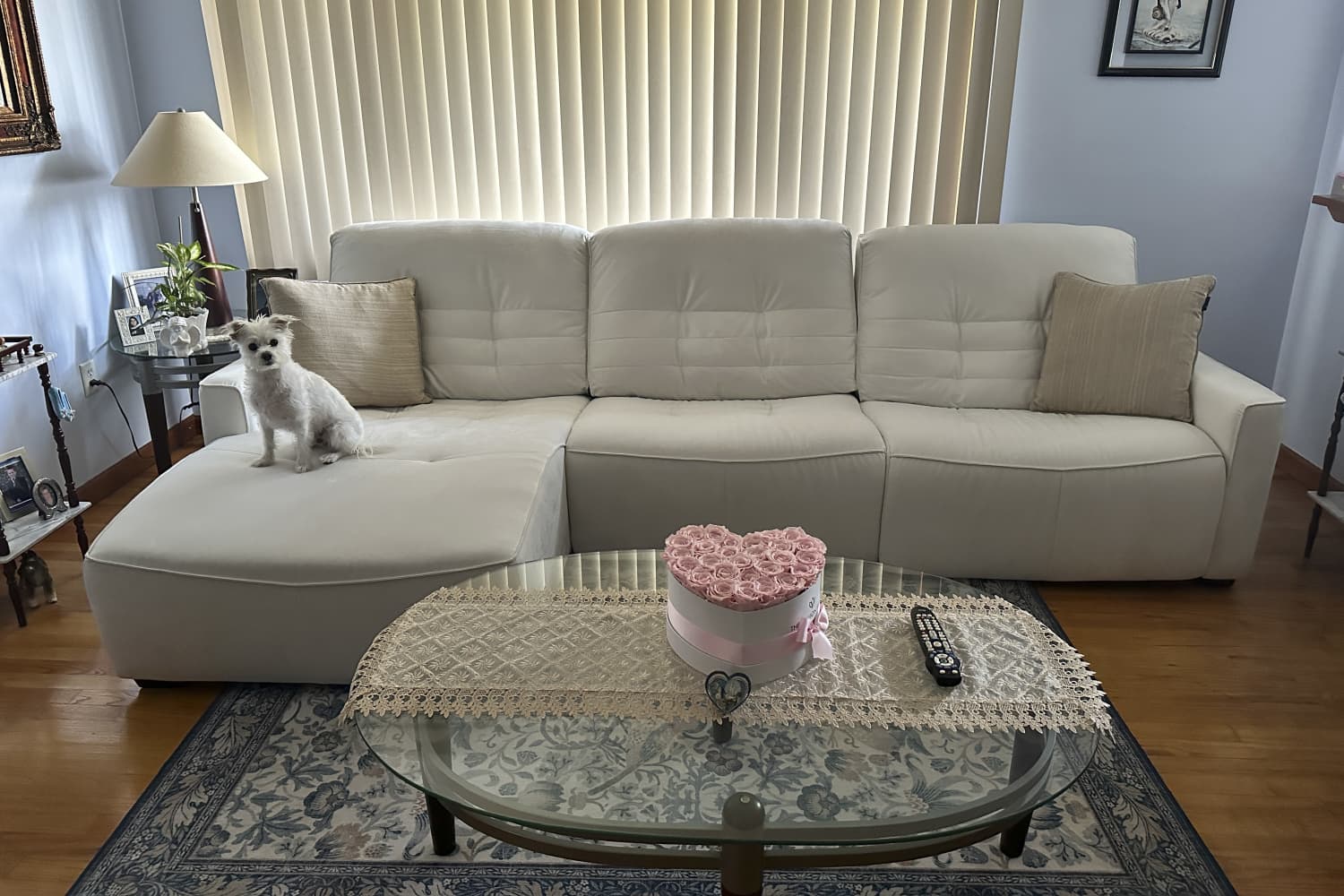 I Just Found the Goldilocks of Pet-Friendly Sofas (Every Seat Reclines!)