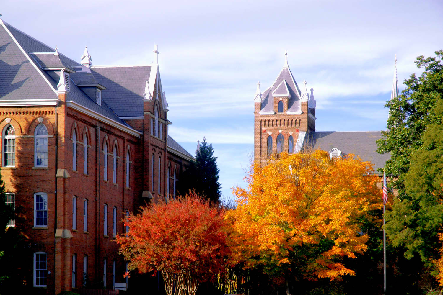 I Live in a College Town. Here Are the Pros and Cons