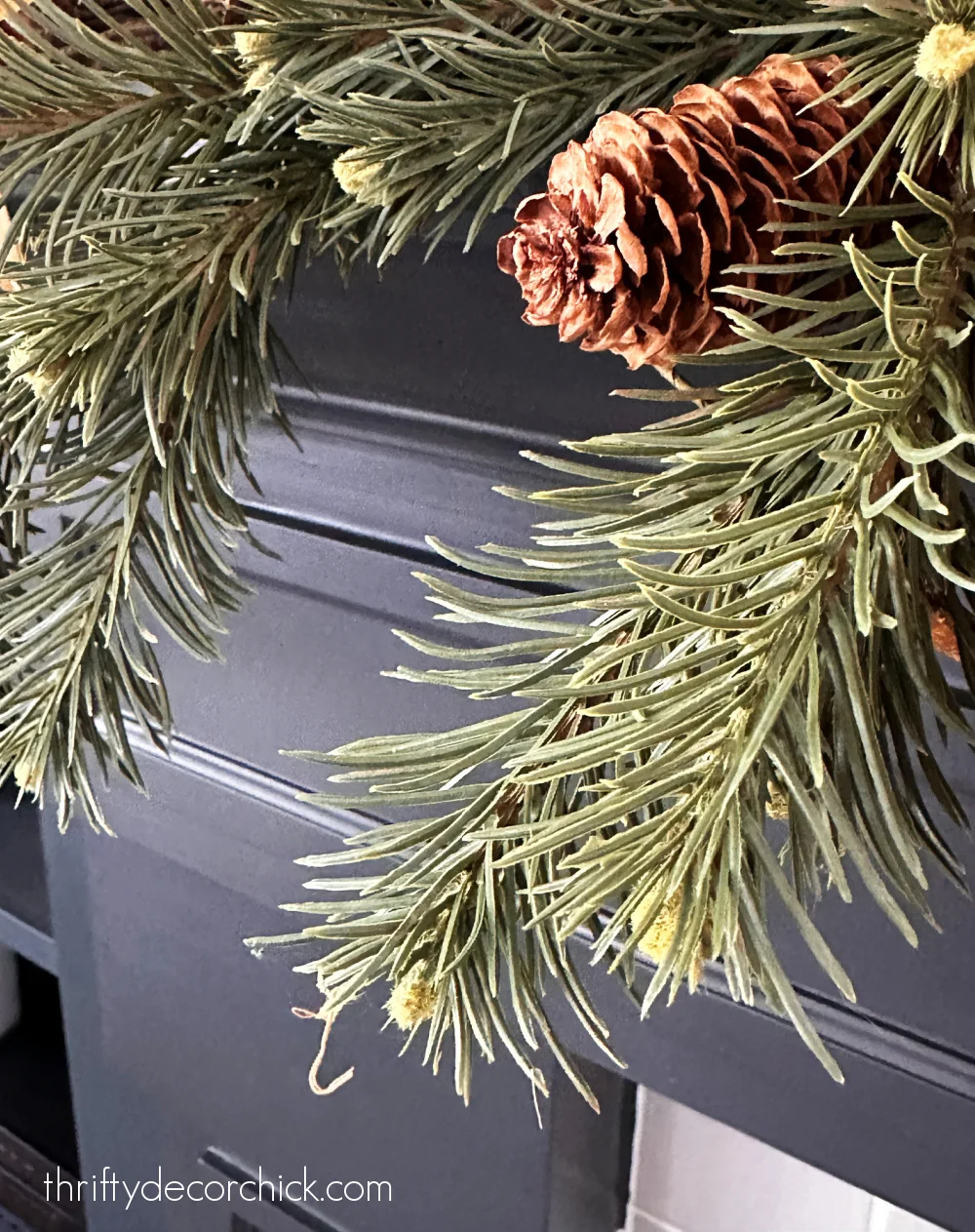 evergreen stems with pinecones