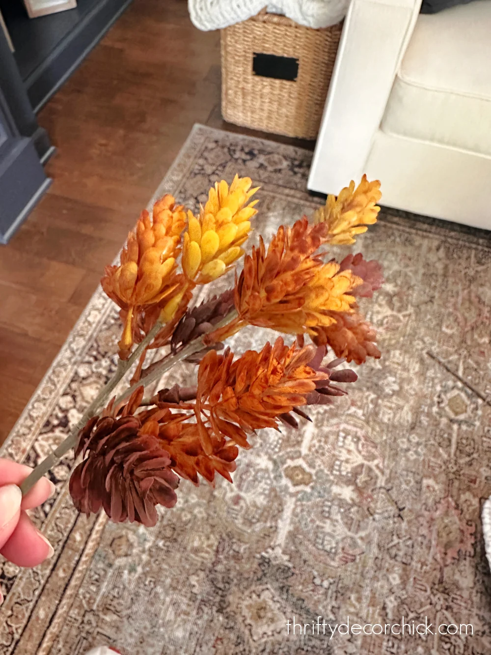 colorful fall hops stems