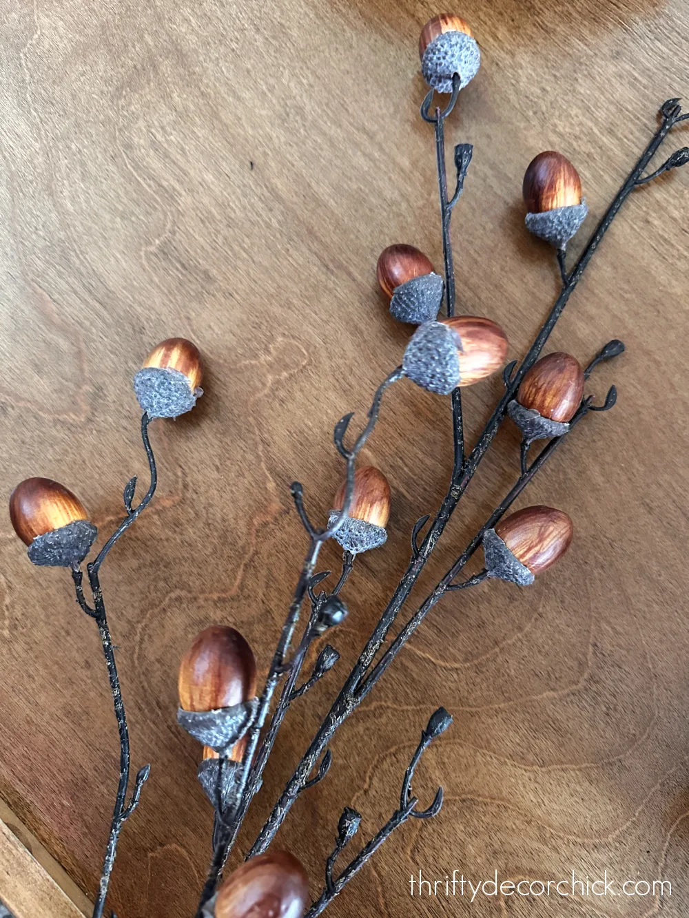 wired fall acorn stems