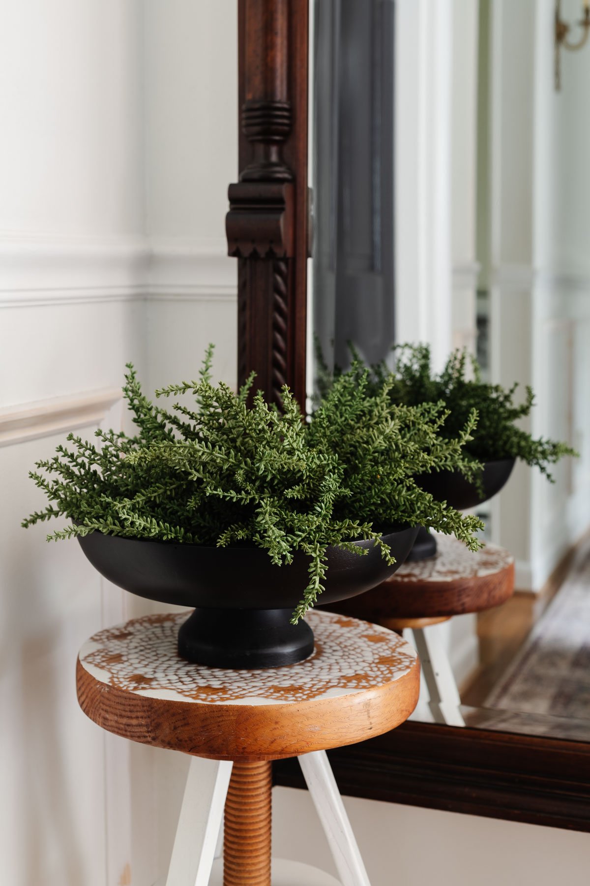 footed bowl used as a planter on a plant stand as hallway decor