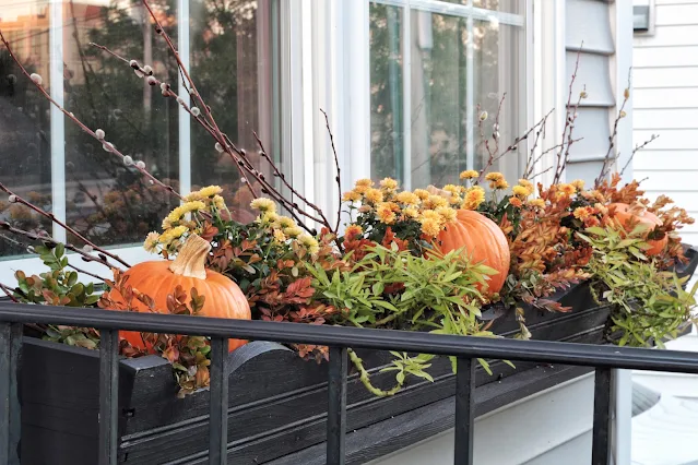 Fall window boxes ideas