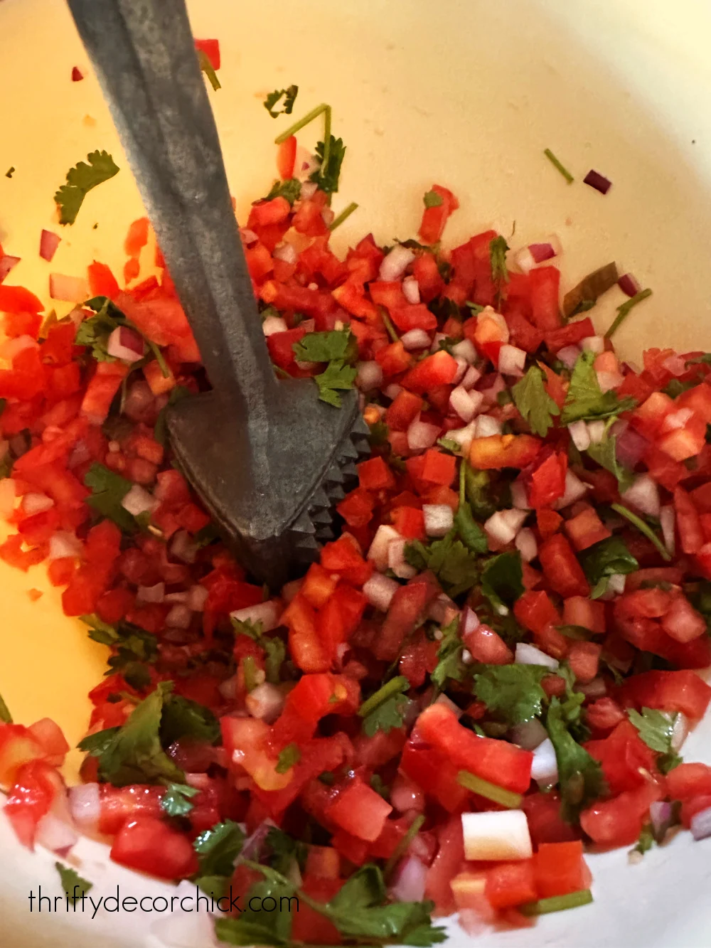 tenderizer for chunky salsa