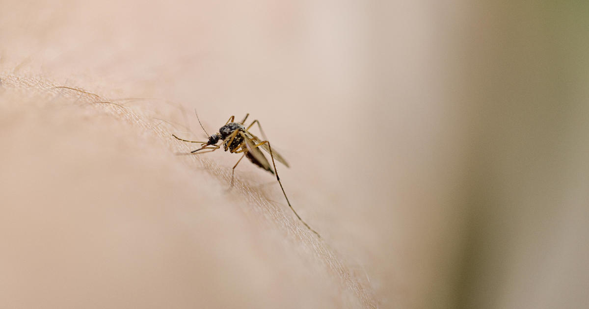 New York confirms its first case of EEE since 2015. Here's what to know about the mosquito-borne virus.